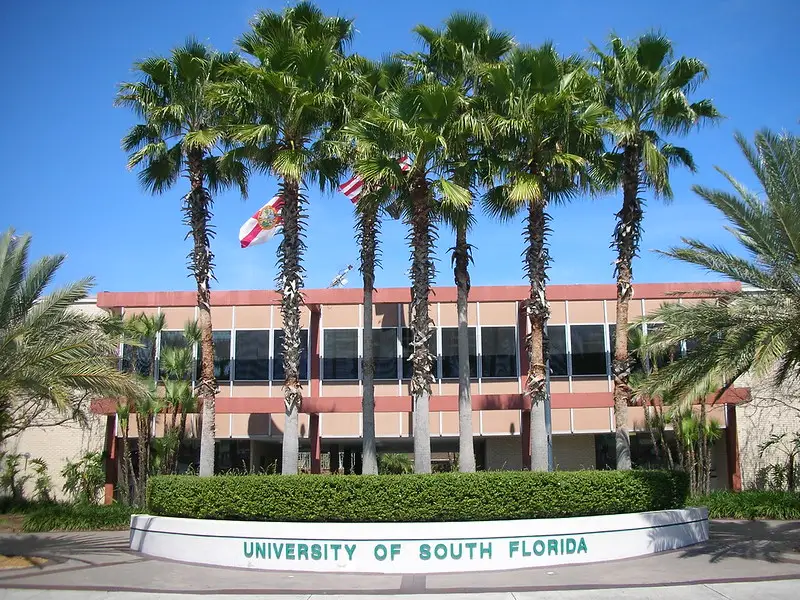 body-university-of-south-florida