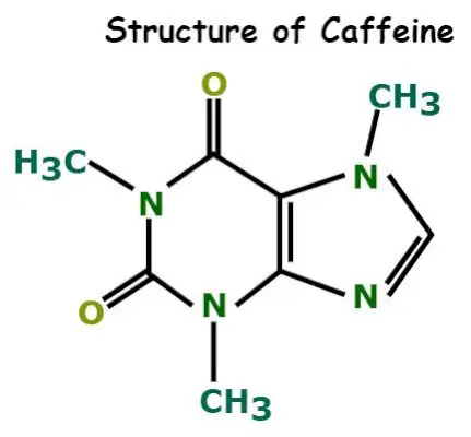 Structura cofeinei