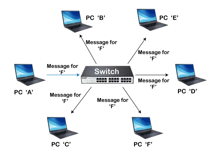 Switch vs. Router