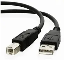 ¿Cuáles son los cables de computadora?