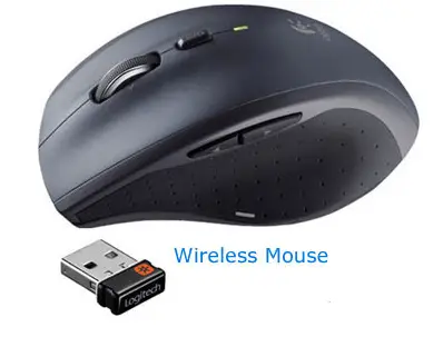 Ce este Mouse