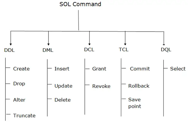 أمر SQL DBMS