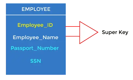 מפתחות DBMS