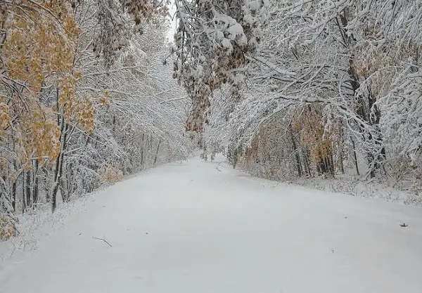 Verschil tussen ijs en sneeuw