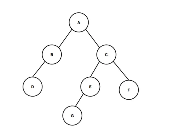 Hauteur de l'arbre binaire