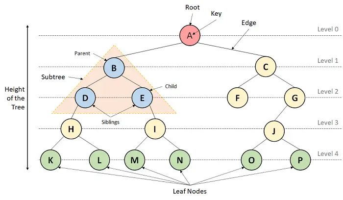 Une introduction aux structures de données