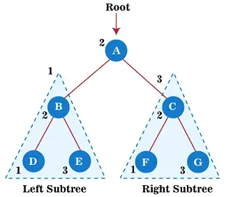 Recorrido del árbol