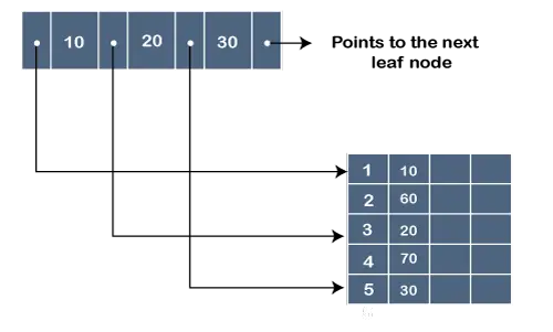 Árbol B vs árbol B+