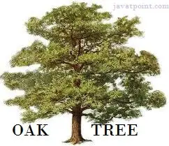 Istoria Java de la Oak la Java