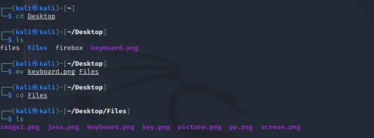 Podstawowe polecenia Kali Linux