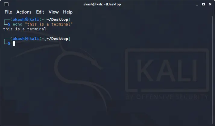 Kali Linux – terminalas