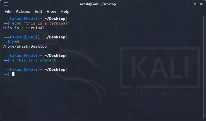 Kali Linux – terminal