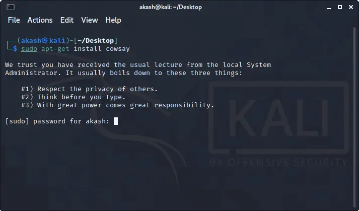 Kali Linux - terminal