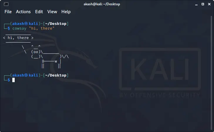 Kali Linux – terminalas