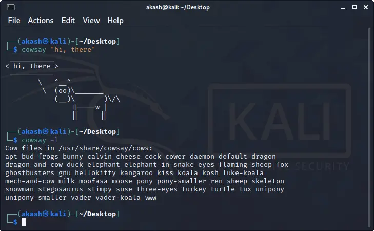 Kali Linux - ターミナル