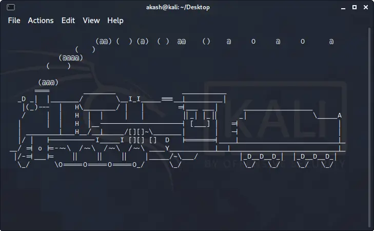 Kali Linux-Terminal