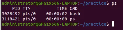 išvardykite „Linux“ veikiančius procesus