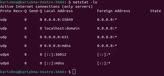 Linux에서 열린 포트를 확인하는 방법