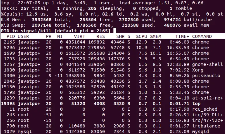 プロセス Linux を強制終了する