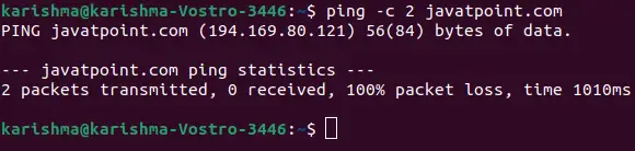 „Ping“ komanda „Linux“.