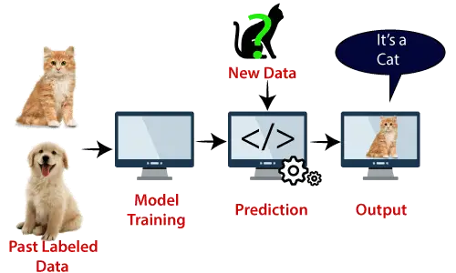 Algorithme de machine à vecteurs de support