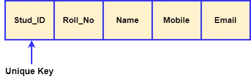 Clave principal versus clave única