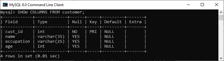 MySQL DESCRIBE TABLE