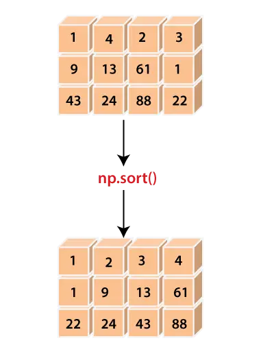 numpy-soort