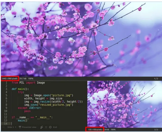 kuvan koon muuttaminen pythonissa