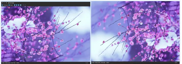 Lucrul cu imagini în Python