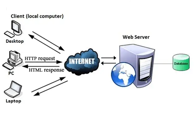 World Wide Web Nedir?